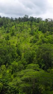 Dağların hava manzarası yağmur ormanlarını, ağaçları ve mavi gökyüzünü bulutlarla kaplıyor. Dikey video.
