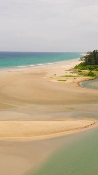 Tropical Landscape Beautiful Sandy Beach Blue Sea Sri Lanka Vertical — Stock Video