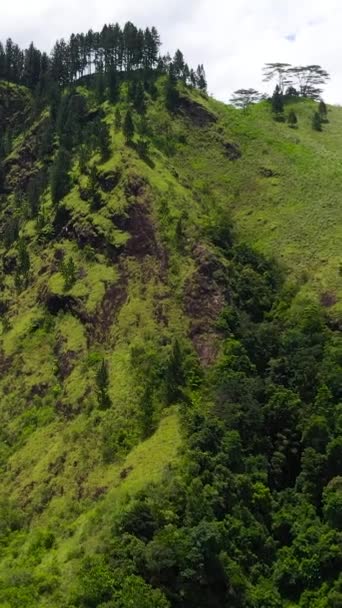 Paisagem Montanhosa Encostas Montanhosas Cobertas Com Floresta Tropical Selva Vista — Vídeo de Stock
