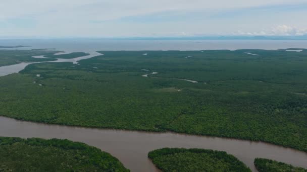 Luchtdrone Van Wetlands Met Mangroven Moerassen Menumbok Bosreservaat Borneo Sabah — Stockvideo
