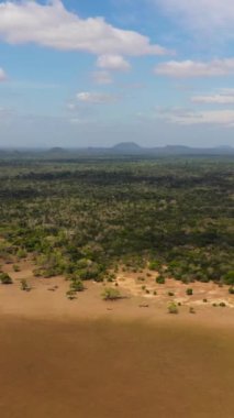 Kuru bir göl ve orman arasında bataklıklar. Kumana Ulusal Parkı.
