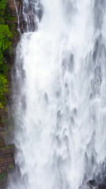 Yeşil bitkiler ve ağaçlarla tropikal ormanların arasında şelale. Mapalana Şelalesi. Sri Lanka.