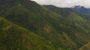 Green rainforest and jungle in the mountains of Philippines view from above.