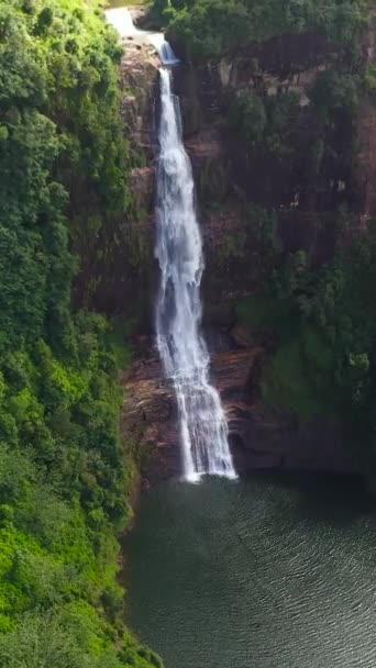 Красивый Водопад Горах Среди Джунглей Гартмор Падает Масфелия Шри Ланка — стоковое видео