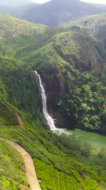 ガルトモアの滝は紅茶のプランテーションの間で湖に落ちる マスクリヤ スリランカ — ストック動画