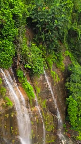 Top View Beautiful Waterfall Green Forest Sri Lanka — Stock Video
