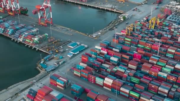 Luftaufnahme Des Containerterminals Der Stadt Manila Größter Frachthafen Philippinen — Stockvideo