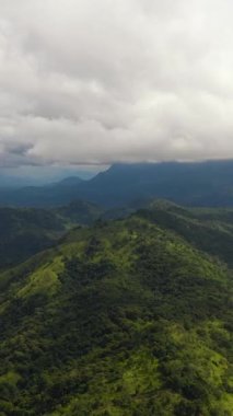 Sri Lanka 'da orman ve dağlar. Tropikal bitki örtüsü olan dağ yamaçları.