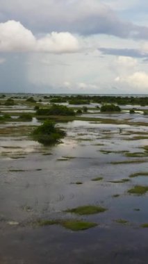 Yağmur mevsiminde Sri Lanka 'da sel basmış topraklar.