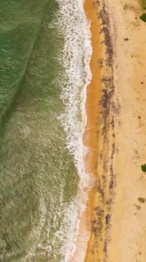 Tropikal kumlu sahil ve mavi okyanusun hava aracı. Sri Lanka.