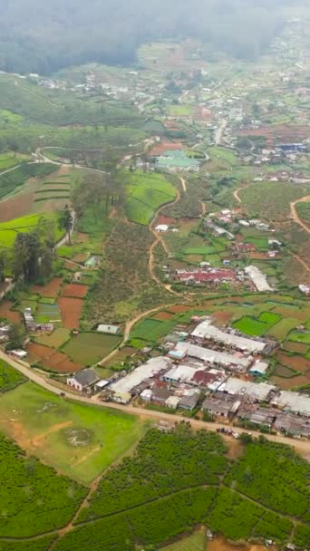 Aerial View Village Tea Plantations Agricultural Lands Nuwara Eliya Sri — ストック動画