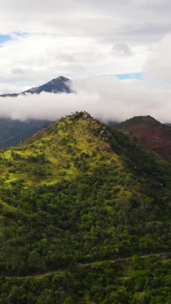 Верхній Вигляд Гір Покривав Дощовий Ліс Дерева Блакитне Небо Хмарами — стокове відео