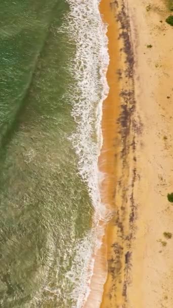 Dron Aéreo Playa Arena Tropical Océano Azul Sri Lanka — Vídeos de Stock