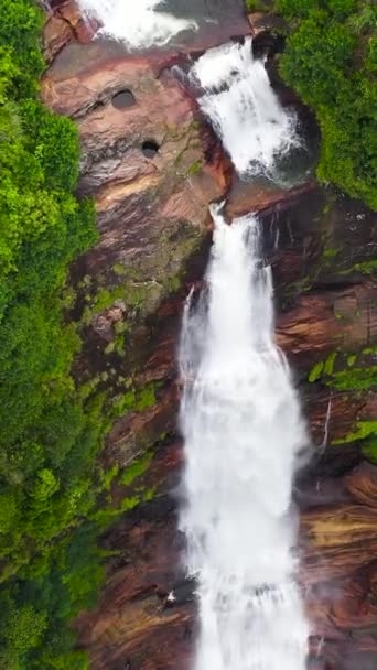 緑の植物や木と熱帯ジャングルの間の滝 スリランカのガルトモア滝 — ストック動画