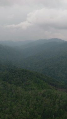 Yağmur ormanları ve ormanlarla kaplı dağ yamaçları. Sumatra, Endonezya.