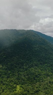 Yağmur ormanı ve ormanlı dağların insansız hava aracı. Borneo, Malezya.