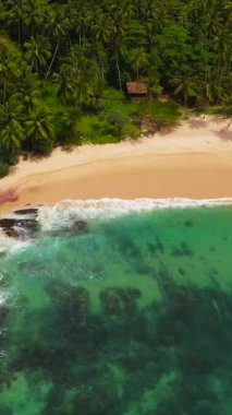 Palmiye ağaçları ve dalgalı deniz sörfü olan güzel kumlu bir sahil. Sessiz Sahil, Sri Lanka.