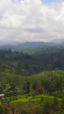 Çiftçi evlerinin hava aracı dağlardaki çay arazilerinin arasında. Maskeliya. Sri Lanka 'daki çay tarlaları.
