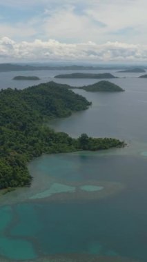 Körfezde yağmur ormanları ve tropikal adaları olan kıyıların insansız hava aracı. Borneo. Sabah, Malezya.