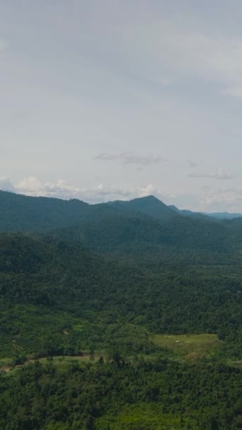 Tropiklerdeki Yeşil Bitki Örtüsü Ağaçlarla Dağların Tepelerin Havadan Görünüşü Borneo — Stok video