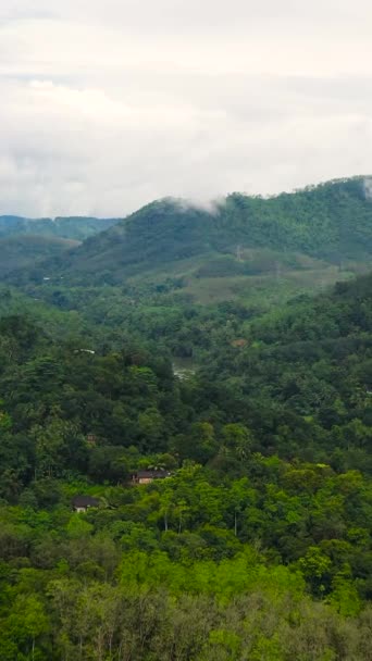 熱帯雨林や木々を雲で覆った山の空中観察 スリランカ — ストック動画