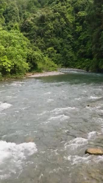 Une Rivière Dans Jungle Avec Une Végétation Tropicale Sumatra Bukit — Video