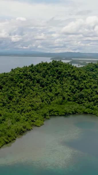 Letecký Pohled Pobřeží Ostrova Borneo Džunglí Sabah Malajsie — Stock video