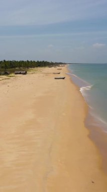 Palmiye ağaçları ve dalgalı deniz sörfü olan güzel kumlu sahil manzarası. Sri Lanka.