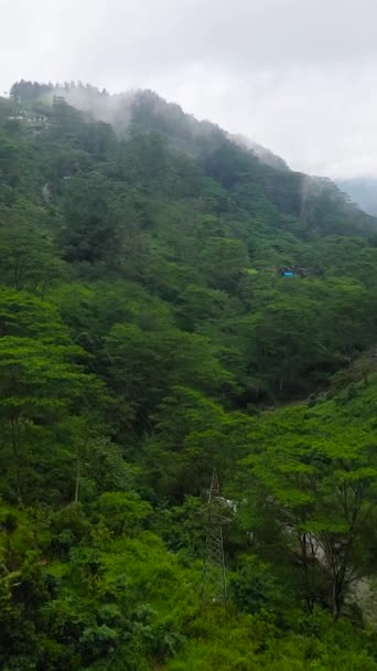 Top View Tropical Landscape Tea Estate Mountains Tea Plantations Sri — Stockvideo
