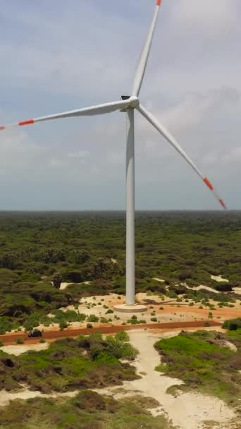 Top Udsigt Vindmøller Kysten Vindkraftværk Mannar Sri Lanka – Stock-video