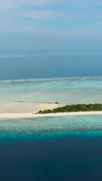 Mercan Kayalıklarıyla Çevrili Güzel Bir Plajı Olan Kumlu Tropikal Adanın — Stok video