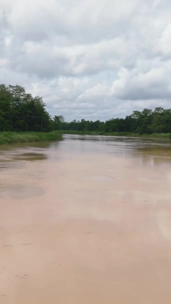 Horní Pohled Řeku Mezi Džunglí Rezervaci Řeka Kinabatangan Stanovištěm Divokých — Stock video