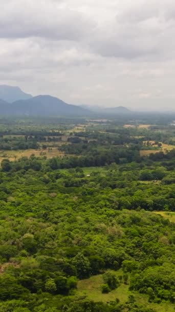Luchtdrone Van Berghellingen Met Regenwoud Een Bergdal Met Landbouwgrond Sri — Stockvideo