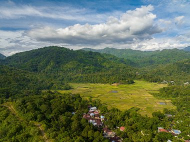 Sumatra dağlarındaki pirinç tarlalarının ve tarım arazilerinin havadan görünüşü. Endonezya.