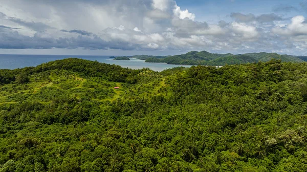 Borneo adasının sahil ve yağmur ormanlı kıyı şeridi manzarası. Sabah, Malezya.