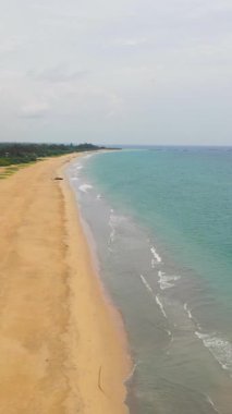 Kumsal ve turkuaz su. Nilaveli Plajı, Sri Lanka, Trincomalee. Yaz ve seyahat tatili konsepti. Dikey video.