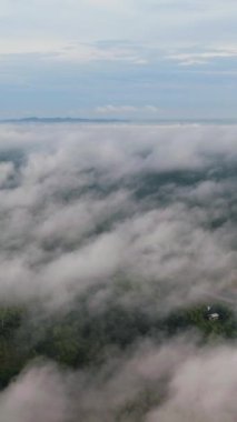 Yağmur ormanlarının hava manzarası sabahın erken saatlerinde sis ve bulutlarla kaplıydı. Borneo, Malezya.