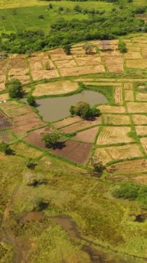 View from above off Agricultural land and rice fields in rural areas. Sri Lanka.