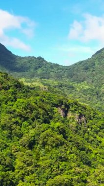 Dağ manzarası: Dağlık yamaçlar yağmur ormanları ve orman manzarasıyla kaplı. Riverston, Sri Lanka. Dikey video.
