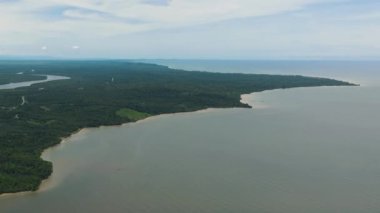Borneo adasının kıyılarında yağmur ormanları ve mangrovlar var. Menumbok orman rezervi. Borneo, Sabah, Malezya.