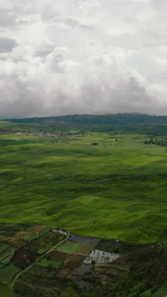 Pemandangan Lembah Yang Indah Dengan Perkebunan Teh Dan Lahan Pertanian — Stok Video
