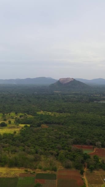 Luftaufnahme Von Sigiriya Löwenfelsen Und Pidurangala Einem Gebirgstal Inmitten Grüner — Stockvideo