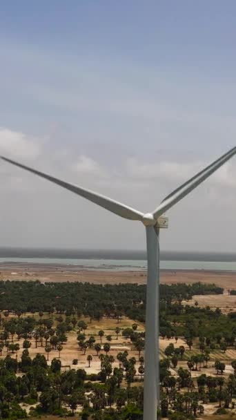 Grupul Turbine Eoliene Coasta Jaffna Sri Lanka Centrala Eoliană — Videoclip de stoc