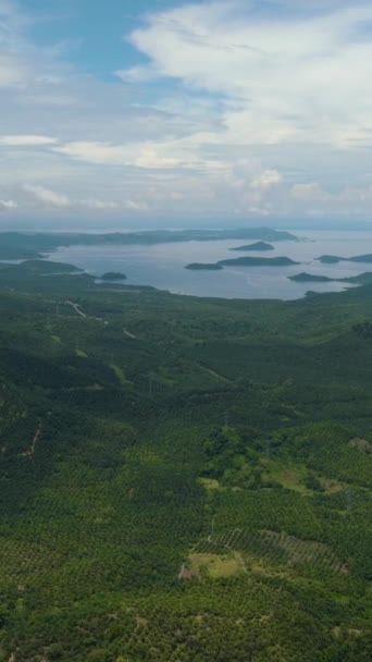 Borneo Adasının Kıyısında Palmiye Yağı Tarlaları Orman Var Malezya — Stok video