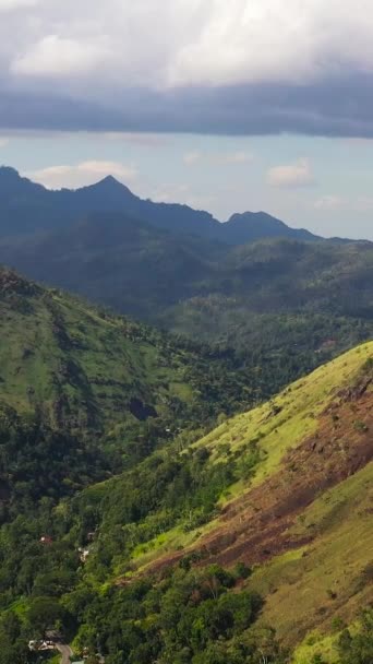 青い空と雲の下で熱帯林や茶畑と山の斜面 スリランカ — ストック動画