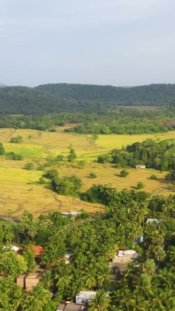 山岳地帯の作物と農地の空中視野 スリランカ バーティカルビデオ — ストック動画