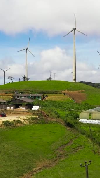 山上的风力涡轮机农场 可再生能源发电风车 Ambewela Wind Power Sri Lanka — 图库视频影像