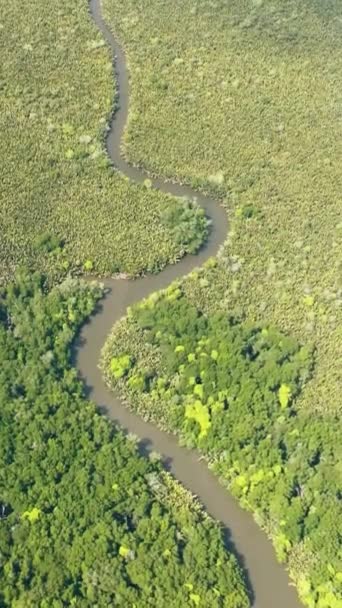 Drone Aereo Paesaggio Tropicale Con Foresta Mangrovie Fiume Borneo Malesia — Video Stock