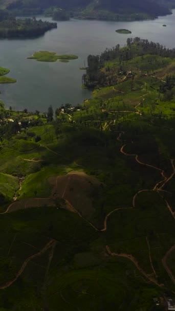 スリランカのヌワラ エリヤ近くの茶畑とマスケリヤ湖またはマスケレ貯水池 — ストック動画