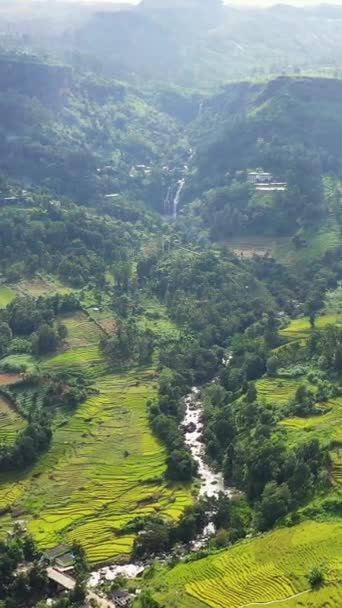 Mountain Valley Tea Plantations Waterfall Sunlight Puna Ella Falls Sri — Video